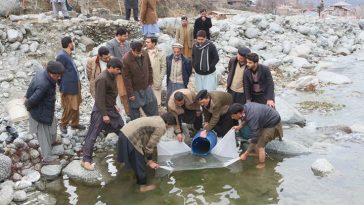 ڈپٹی کمشنر سوات کامدین ٹراوٹ فِش ہیچری میں بچہ مچھلی سٹاکنگ مُہم کا باقاعدہ افتتاح۔