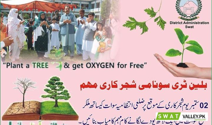 Plant a Tree and get oxygen for free