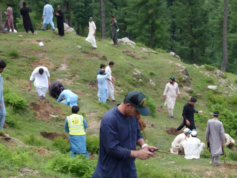 ‎ٹائیگرفورس پلانٹیشن ڈے 9ا گست 2020ء