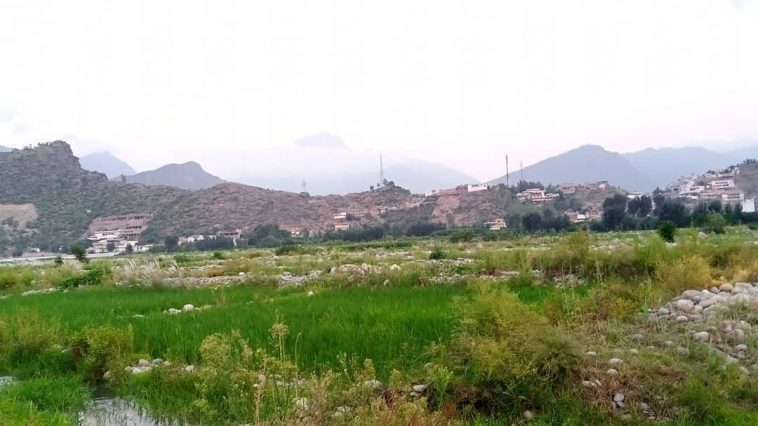 My home town swat
