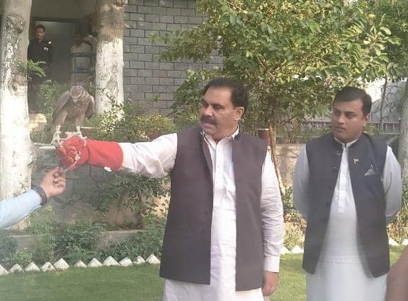 Swat Wildlife Department recovered 5 falcons from smugglers and released them immediately.