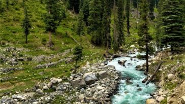 Utror, Kalam, Swat Valley, Pakistan.