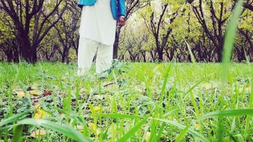 The secret of success is to know something nobody else knows.. ,