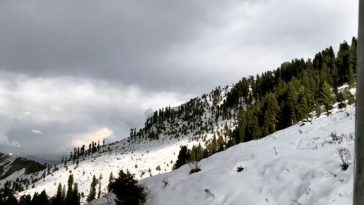Heaven
..
