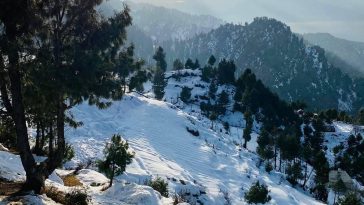 Malam jabba.
.
.
.
.
.
.
.
.
.
.
PC