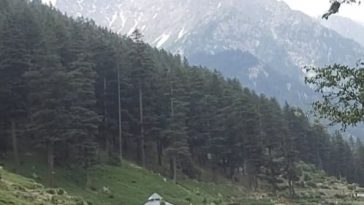 Once upon a time in the long summer days..