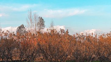 WINTERS.
Share it if you like it.Tag someone who need to see this
:
————