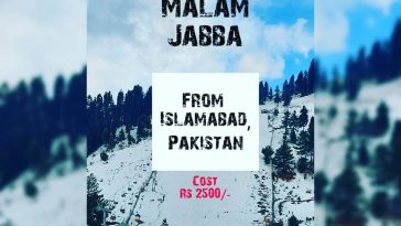 Make your weekend memorable and adventures.
One day Tour to Malam Jabba.
Visit s