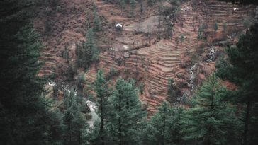 Brown and green
.
.
.
.
.
.
.
.
.
.
.
.