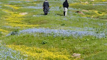 The vastness of Chukail and it's flower carpeted meadows.
La inmensidad de Chuka