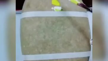 Follow for more.
.
.
.
....
.
.
.
.
.
.
...