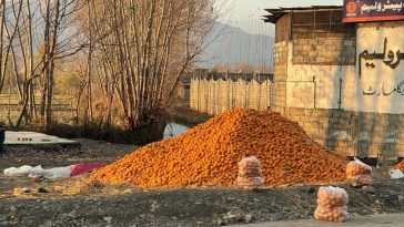 Pakistan’s nature and food
Next level ........
Organic Oranges