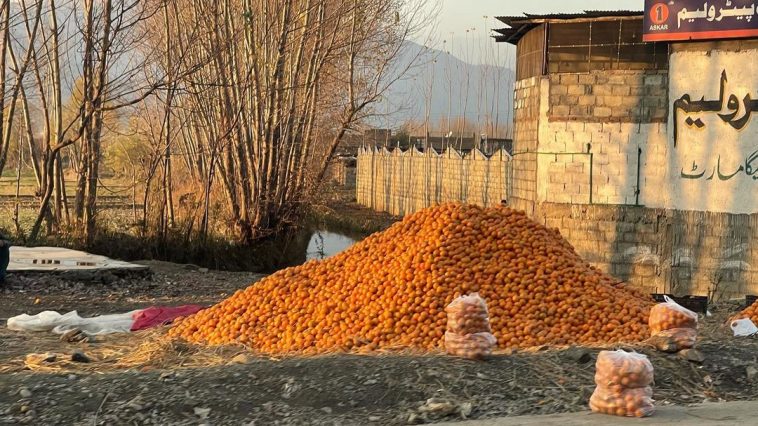 Pakistan’s nature and food
Next level ........
Organic Oranges