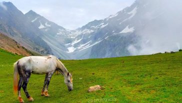 A viwe of swat valley gurnal side baskar meadwas Happy to all mountains lovers.