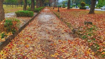 Islamabad right now after Rain
