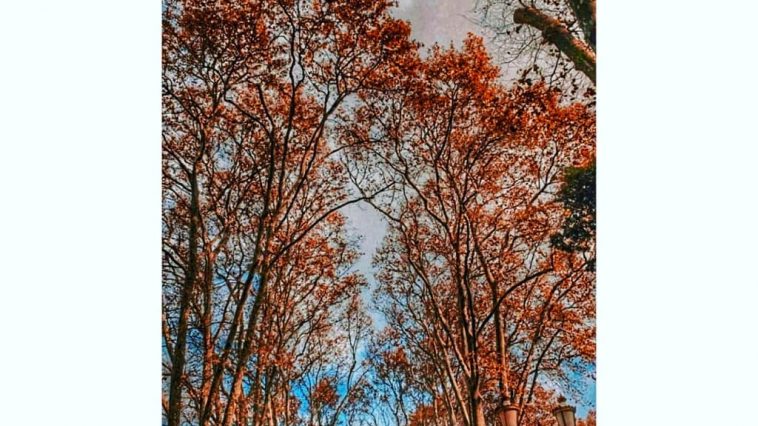 Vj Nelson Photography /FilmsNature Beauty Of Pakistan