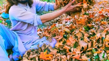 Sawt valley madyan shegal