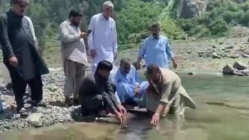 دریائے سوات میں اٹلی کی ٹراؤٹ مچھلیوں کی آمد  سوات: ڈپٹی کمشنر جنید خان کی خصوصی ہدایت پر ایڈیشنل ڈ