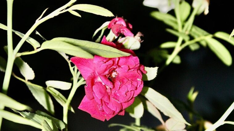 The beauty of nature
...
....:...
..........,....
..................
..........