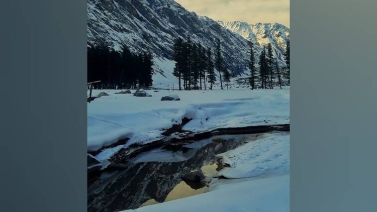 I can't get out of the bed on days when the temperature is less then my age.Sa