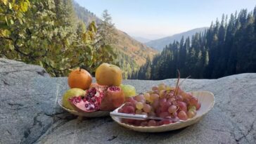 Swat Diaries eternal peace