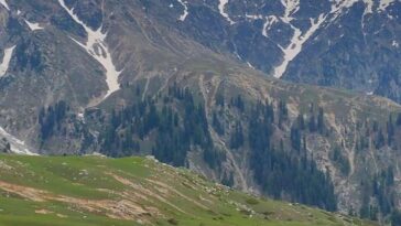 GABBIN JABBA VALLEY SWAT