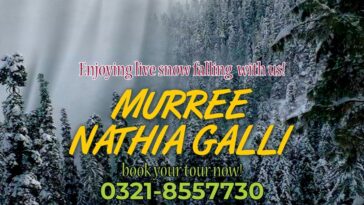 1 Day Tour/Trip Islamabad to Murree Nathia Gali
Book your Tours for MURREE / NAT