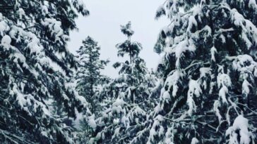 مالم جبہ روڈ
جب برف کی چادر اوڈھ لیتی ہے نظارہ کچھ یوں ہوتا ہے