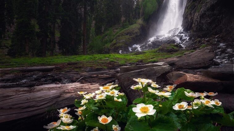 "Elysium"
.
Spinkhor waterfall, Utror, Swat, Kpk, Pakistan.
Share with us all