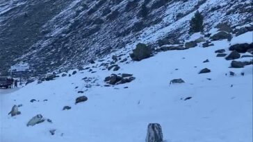 Kindly book your seats  now so you can enjoy the winter season and live snow fal