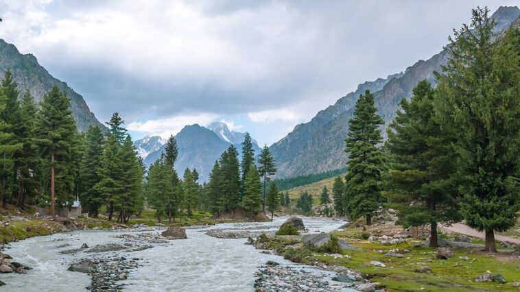 The Naltar valley, peaceful and welcoming… can’t get enough of it!