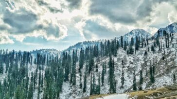 Gabin Jabba, Swat valley
25 Dec 2021
...
.
.
.
.
.
.
.
.
.
.
.