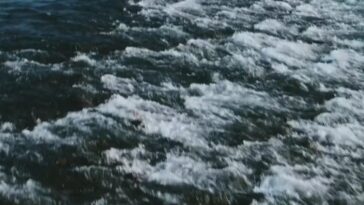 A memorable trip to