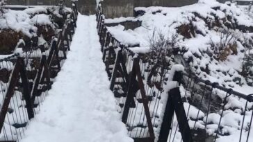 Snowfall
January 2022
1/3