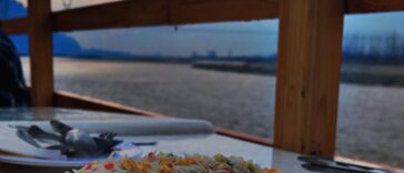 - Food with the View
.
.
.
.