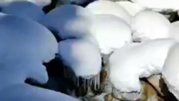 In winter it's a marshmallow world.
:
:
Gabein jaba swat kpk Pakistan
:
: