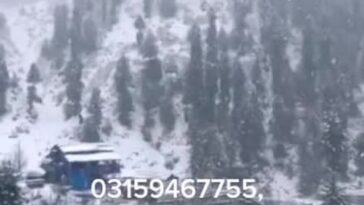 Book yourselves an extra place of extreme comfort and beauty through MK LODGE (t