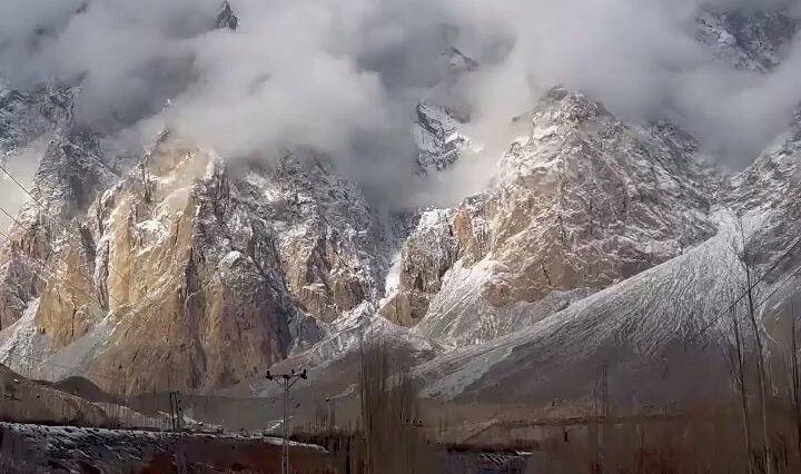 Majestic PASSU Cones in Winters.Follow for more amazing posts..
.
.