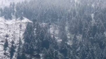 Ley Chal Mje Kahi Dur
.
.
.