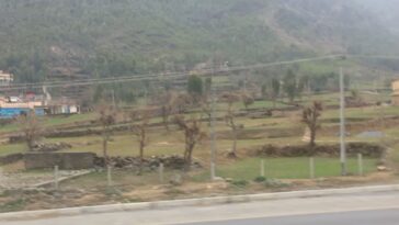 آُنیند کا سودا کرے