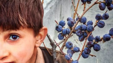 A child selling black malook on the road side, description
In words of Ibn-e