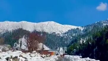 Way to Gabbin Jabba, Swat valleyswat valley - KPK.
.
.
.