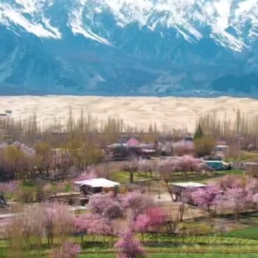 Beautiful View Skardu Pakistan
:
:
:
:
:
:
: