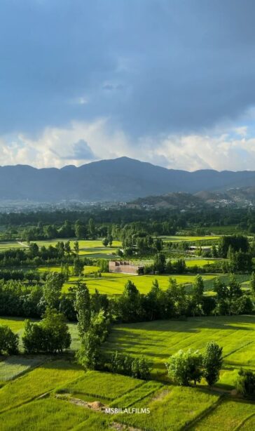 FIZAGAT SWAT