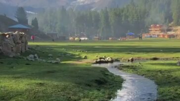 Fairy Meadows & Nanga Parbat, Gilgit-Baltistan
.
.
.
.