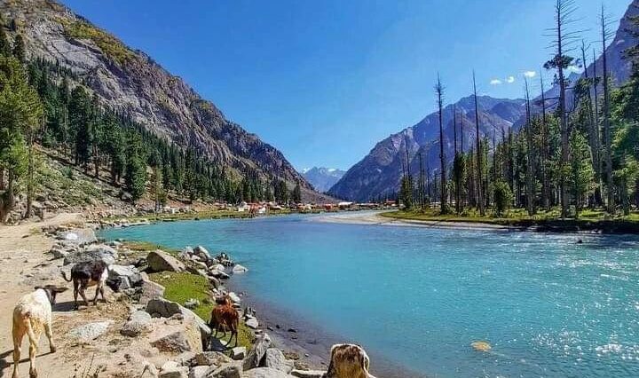 Good News for TravellersRoad to Mahodand Lake has been cleared for tourists v