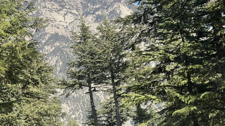 Kalam, Swat valley
This view can be spotted on the way to Mahodand Lake when tra