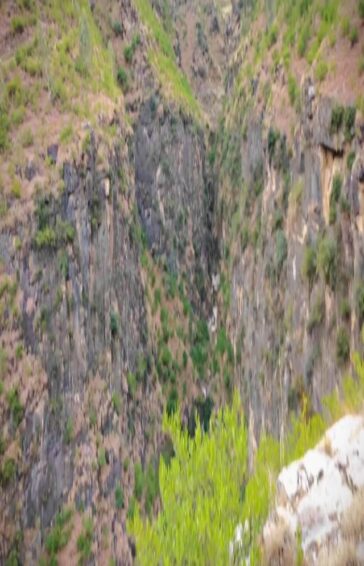 Manyar swat
.
.
.
.