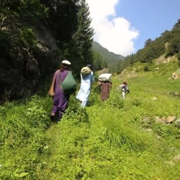 Pir Ghar — the Saint’s Mountain — Waziristan, also pronounced Preghal for the sh