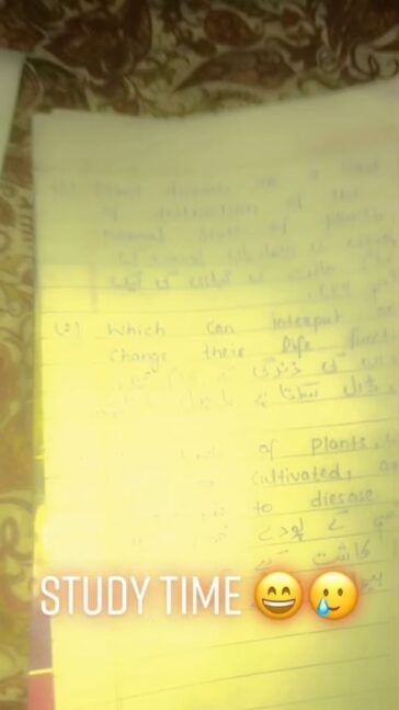 STUDY TIME kala kala study kha wi sehat di para